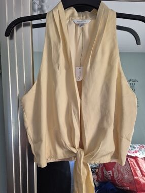 Banana Republic Pale Yellow Tie-Front Halter Camisole